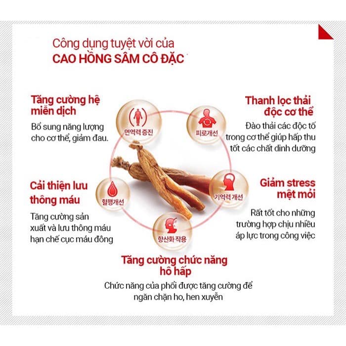 Cao Hồng sâm hũ đôi Hoàng Đế Hoàng Hậu ACHIMADANG HÀN QUỐC 2