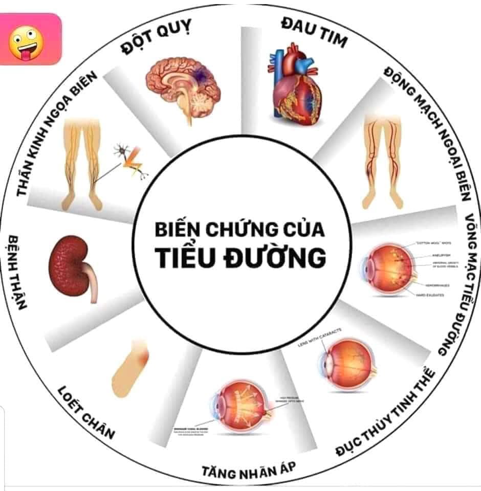 INH DẦU THÔNG ĐỎ KWANGDONG HÀN QUỐC 2