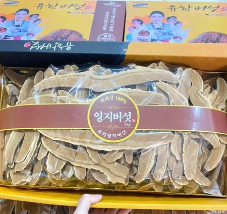 NẤM LINH CHI THÁI LÁT HIỆU CÔ GÁI HÀN QUỐC 2