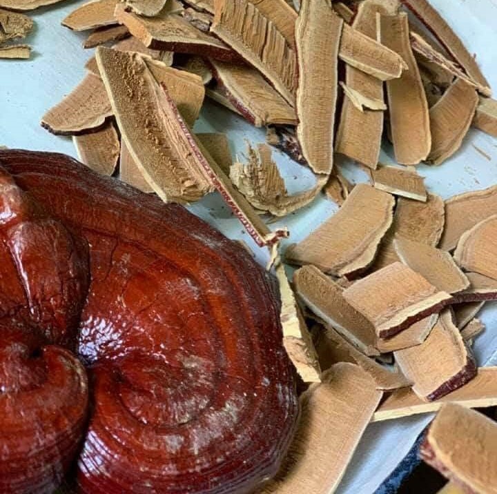 NẤM LINH CHI THÁI LÁT HIỆU CÔ GÁI HÀN QUỐC 3