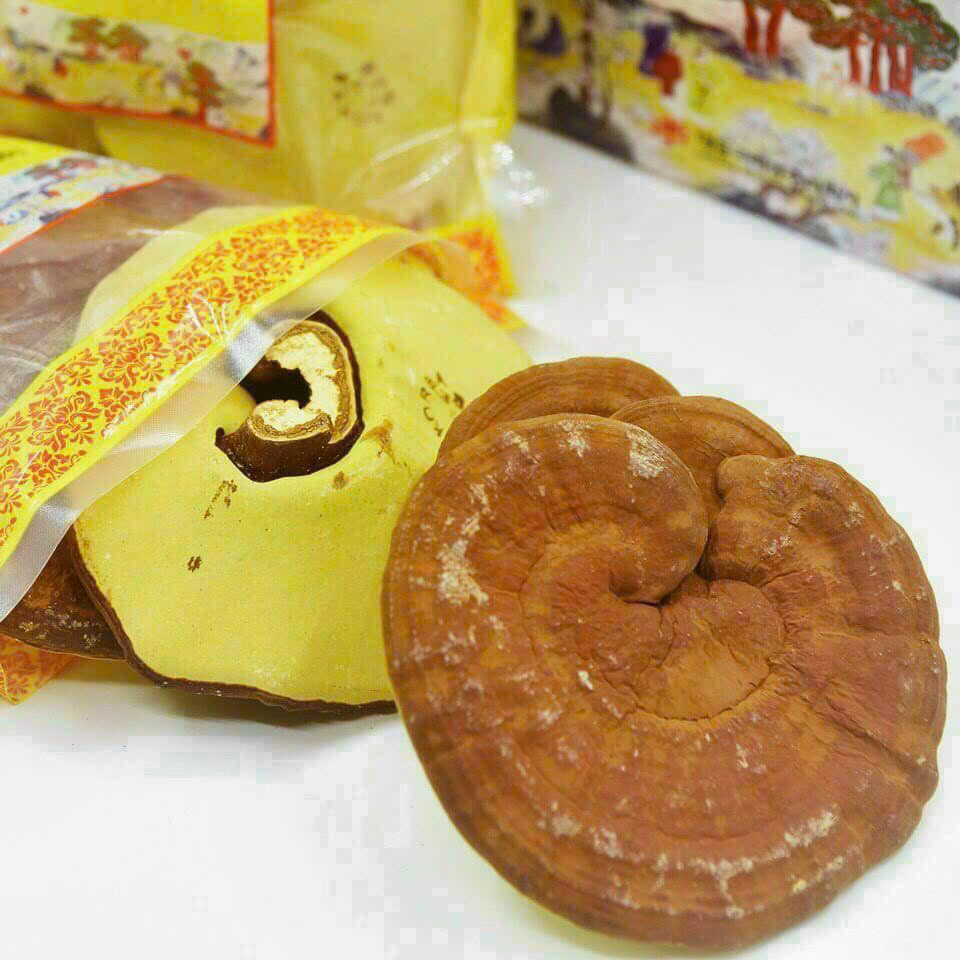  NẤM LINH CHI DEADONG HÀN QUỐC 4