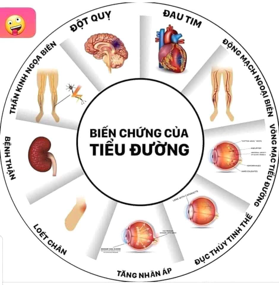 Tinh Dầu Thông Đỏ Cheongsongwon Của Cty Samsung Hàn Quốc 4
